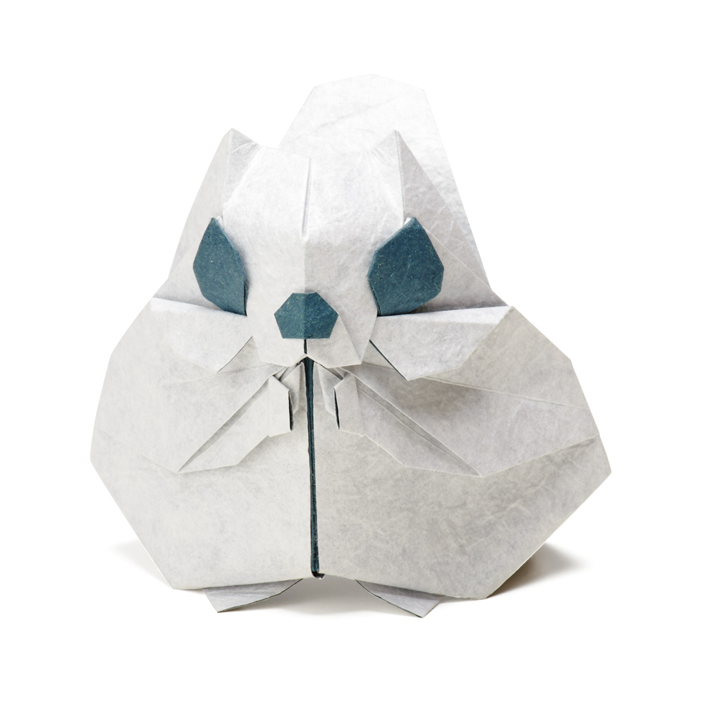 Siberian Flying Squirrel